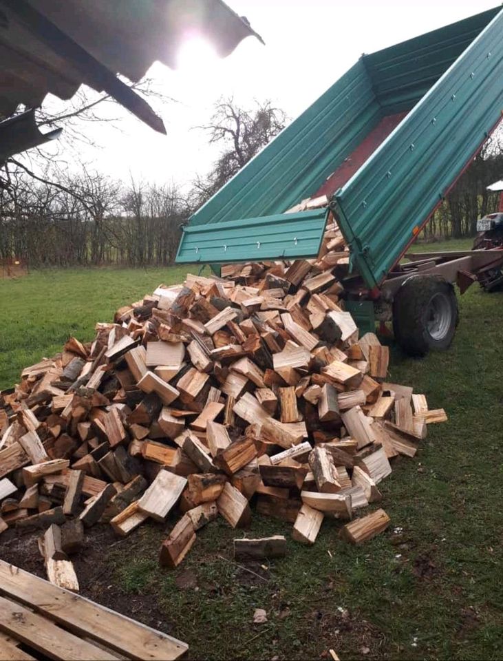 Brennholz/Kaminholz zu verkaufen in Grimmelshausen