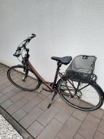 Markendamenfahrrad Maxcycles Rheinland-Pfalz - Hargesheim Vorschau