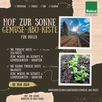 Gemüseabo, Gemüsekiste, frisches Gemüse für Rügen Mecklenburg-Vorpommern - Gingst Vorschau