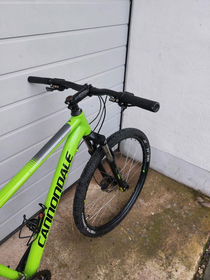 Cannondale Trail 7  29 Zoll in Wittlich