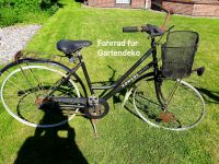 Fahrrad für Gartendeko Dithmarschen - Linden Vorschau