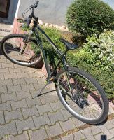 Herrenfahrrad Baden-Württemberg - Sinsheim Vorschau