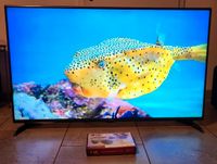 3D TV, 55 Zoll, LG, 3D Fernseher, inkl.8 3D Brillen Berlin - Treptow Vorschau