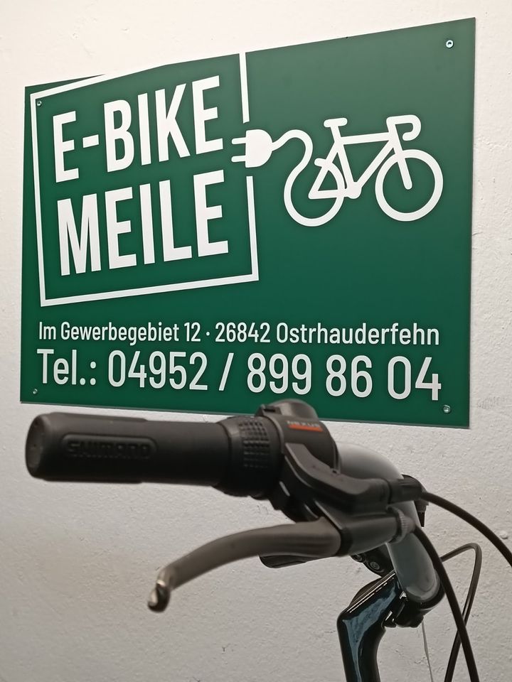 MGI Damenrad - Fahrrad Damenrad Sonderposten (85) in Oldenburg