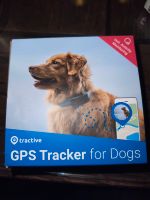 Tractive GPS Tracker Hund Baden-Württemberg - Oberkochen Vorschau