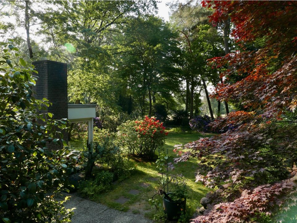 Bungalow mit unverbaubarem Blick in Worpsweder Bestlage - Direkt am Weyerberg - VERHANDLUNGSBASIS in Worpswede