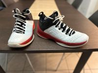 Nike Jordan Melo m11white 44 Basketballschuhe Stuttgart - Mühlhausen Vorschau