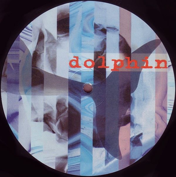 ⭐️1994 Trance 12“⭐️Save the Vinyl 12 - Dolphin - Under Water in Graben (Lechfeld)