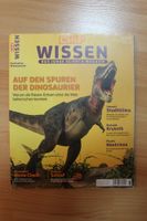 CHIP Wissen 6/2020 - Auf den Spuren der Dinosaurier Hessen - Kassel Vorschau