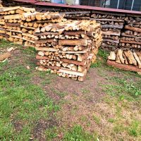 Brennholz abzugeben Thüringen - Königsee Vorschau