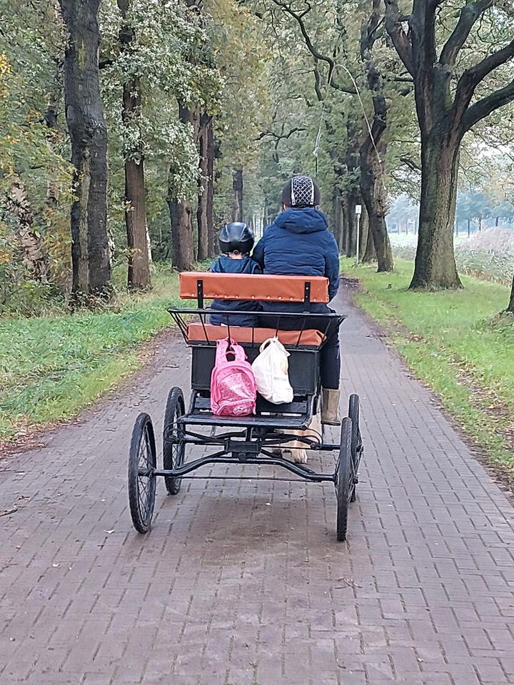 Reitunterricht/ Reitbeteiligungen in Georgsdorf