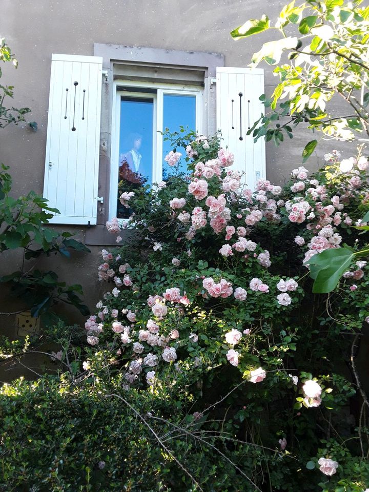 Ferienwohnung Stockweiher Diane Capelle in Saarbrücken