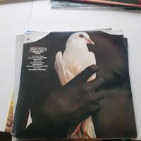 Schallplatten Konvolut/ Auflösung Bayern - Freilassing Vorschau