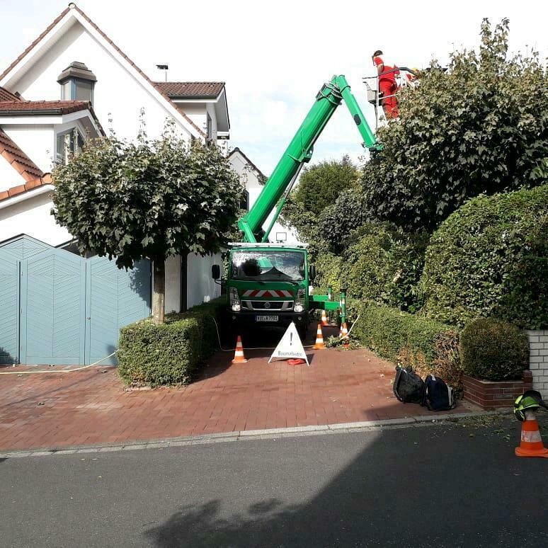 Baumpflege Baumfällung Baumkontrollen Baumarbeiten Wurzelfräsen in Wuppertal