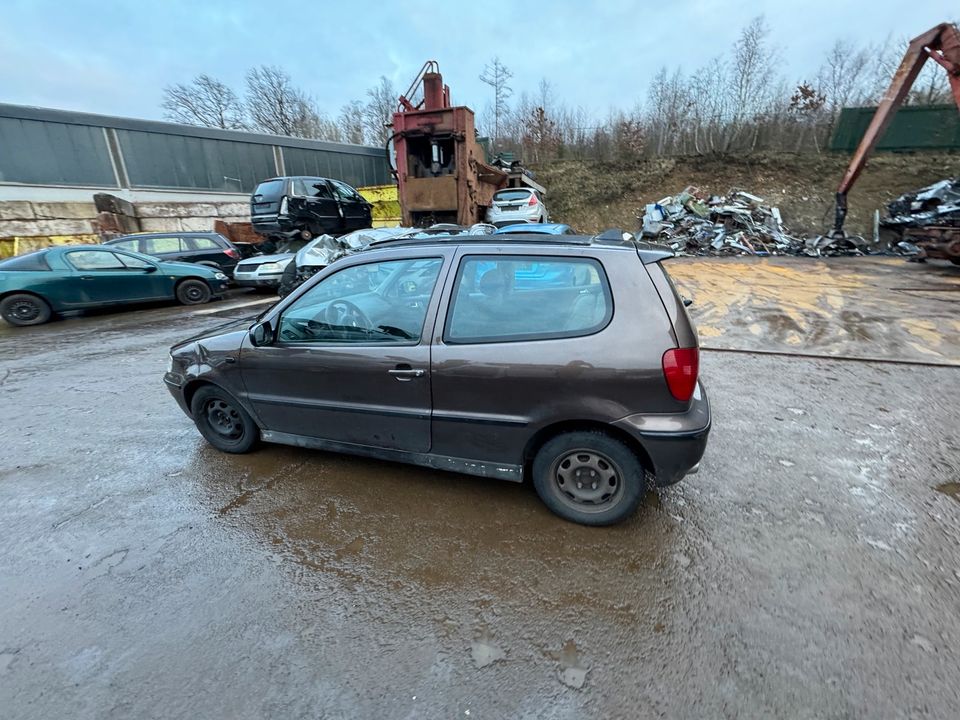 VW Polo 6n 1.4L 44KW Autoteile Ersatzteile Schlachtfest in Waldbröl