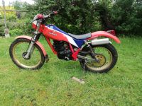 Honda TLR 250 Niedersachsen - Lüneburg Vorschau