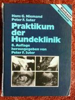 Praktikum der Hundeklinik Tiermedizin Veterinärmedizin Studium München - Laim Vorschau