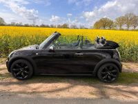 Mini Cooper Cabrio Schleswig-Holstein - Elmenhorst Kr Stormarn Vorschau