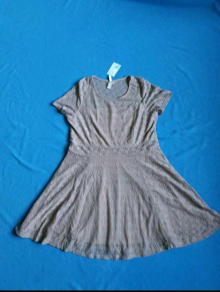 Kleid, Spitzenkleid, H&M, Größe 44, puderrose, NEU in Kiel