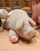 Schwein Plüschtier Bayern - Halblech Vorschau