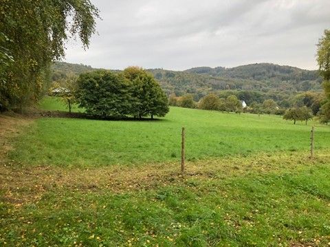 Weide , Wiese,Koppel, Grünland, ideal für Pferde" in Lindenfels