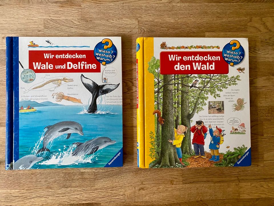 Wir entdecken den Wald & Wir entdecken Wale und Delfine in Gerlingen