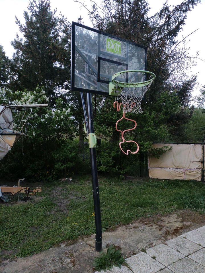 Basketballkorb Profi in Nuthe-Urstromtal