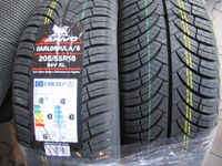 Arivo 4 Seasons 205/55 R16 94V Allwetterreifen M+S Neu ! Rheinland-Pfalz - Ockenheim Vorschau