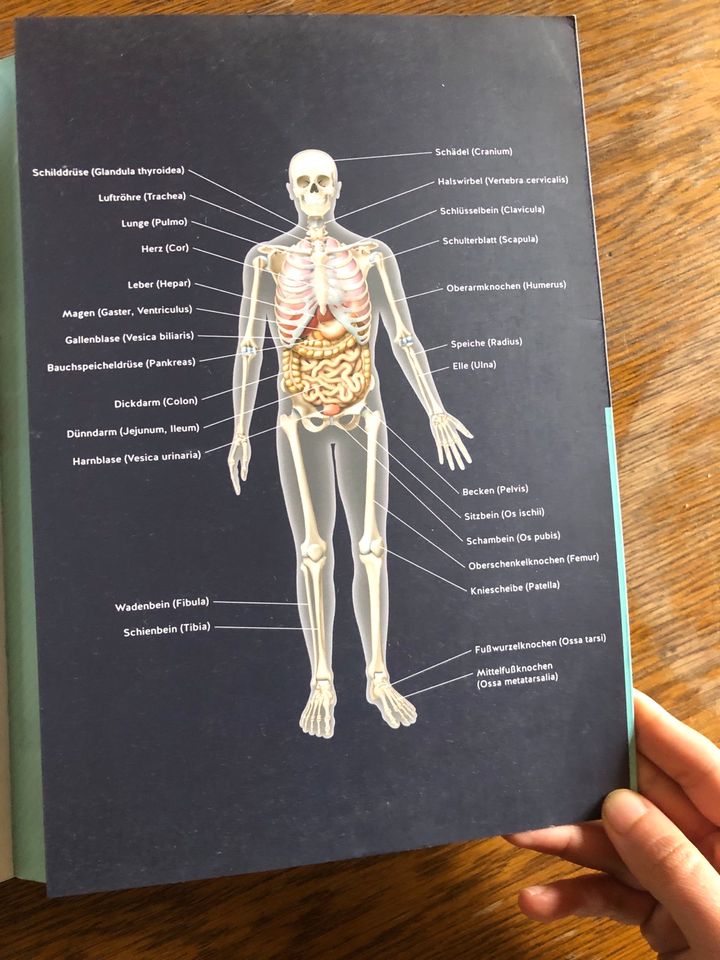 Buch Pflegen Gesundheits- und Krankheitslehre in Haren (Ems)