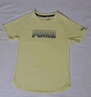 Puma Sportshirt Funktionsshirt T-Shirt gelb Gr. 152 Feldmoching-Hasenbergl - Feldmoching Vorschau