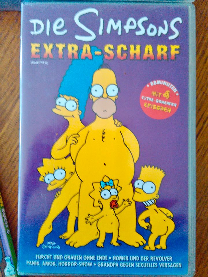 12-tlg. Set "Die Simpsons" 3 Filme/Poster/7 Figuren in Allstedt