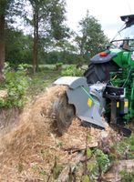 Baumwurzelentfernung Bäume fällen Hecken entfernen Schleswig-Holstein - Bad Oldesloe Vorschau