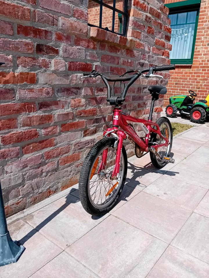 Diverse Fahrräder in Hodenhagen