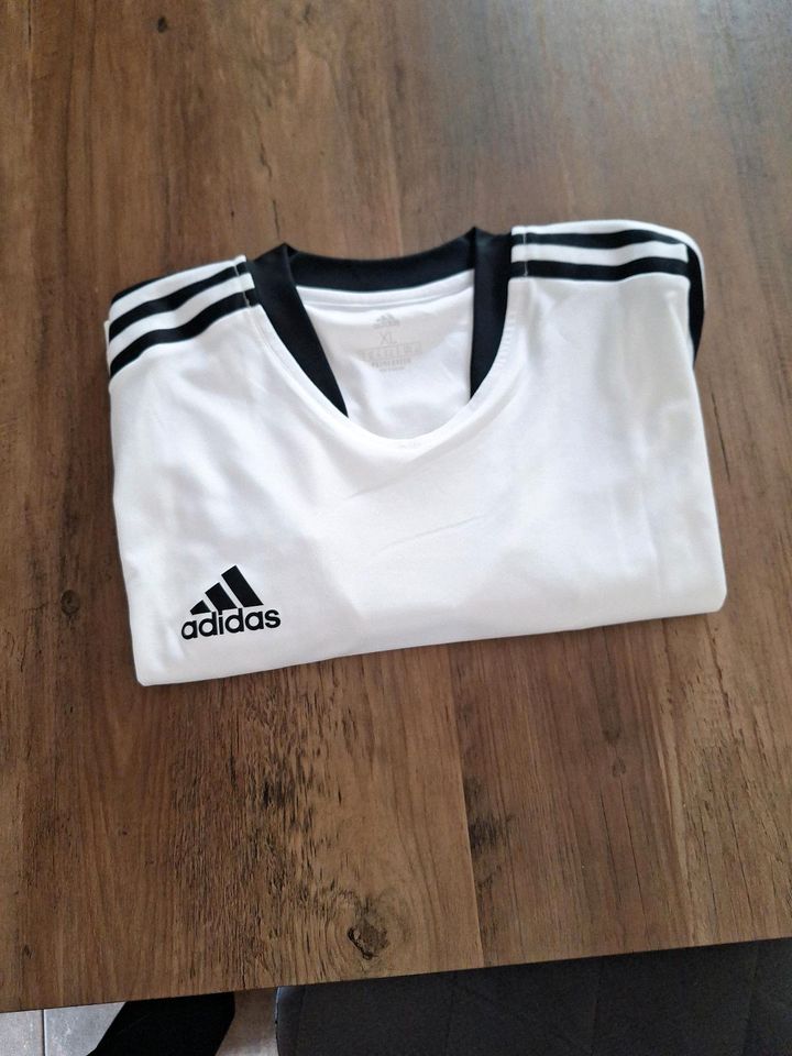 Adidas Sport T-Shirt Primegreen in Drolshagen