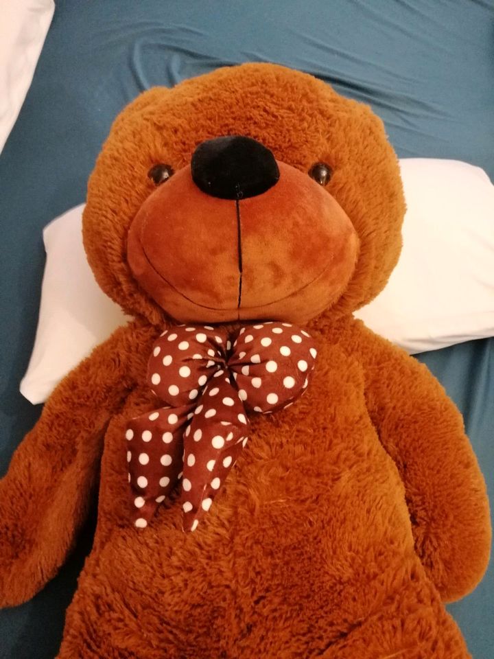Großer Teddy Bär, ca. 120 cm, 2 Jahre alt in Lampertheim