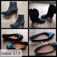 13xPaar Schuhe/Schuhpaket/einzelnd in 37,5,Pumps,Sneakers,Stiefel Nordrhein-Westfalen - Oerlinghausen Vorschau