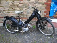 SUCHE alte ,auch kaputte Mofas Mopeds Motorräder für Hobby Restau Niedersachsen - Zur Schunterquelle Vorschau