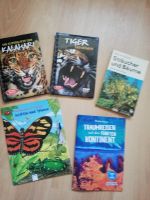 5 Kinderbücher. Tiger, Pflanzen,  Kalamur, Insekten. Top.Farbillu Bayern - Ochsenfurt Vorschau