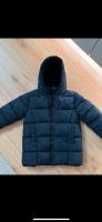 Petit Bateau Mädchen Jacke Winter Größe 146 Feldmoching-Hasenbergl - Feldmoching Vorschau