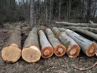 Eiche Stämme, Massivholz, Schnittholz für XXL Tischplatte Baden-Württemberg - Walldürn Vorschau