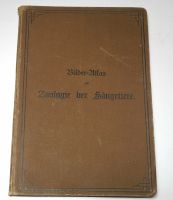 Bilder - Atlas zur Zoologie der Säugetiere - 1897 Bayern - Rednitzhembach Vorschau