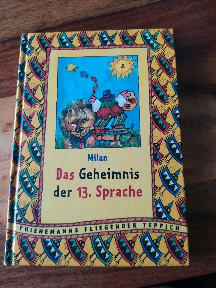 Buch: Das Geheimnis der 13. Sprache in Drolshagen