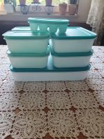 Tupperware Gefrierschrank-Set Niedersachsen - Seggebruch Vorschau