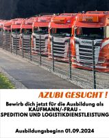 Ausbildung als Kaufmann-frau Spedition-und Logistikdienstleistung Baden-Württemberg - Schenkenzell Vorschau