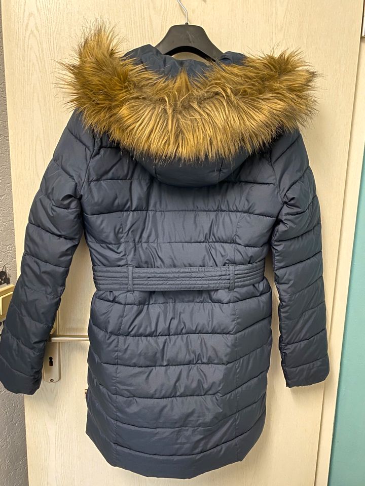 Jacke Hollister M in Radebeul