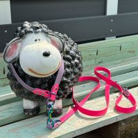 Hundeleine Halsband Hund Set Biothane verstellbar Pink Lila Hessen - Villmar Vorschau