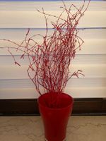 Echte Zweige und Vase rot Hessen - Bad Soden am Taunus Vorschau