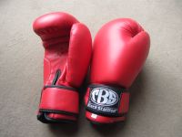 %%%%%%%%%% Boxhandschuhe Kickboxen tipptopp Zustand ! Bayern - Bad Wörishofen Vorschau