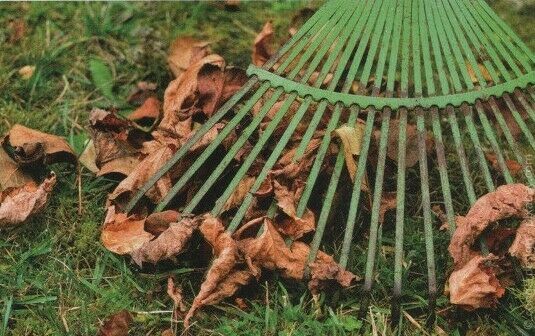 Frühjahrsputz Herbstputz Laub entfernen sammeln in Iserlohn