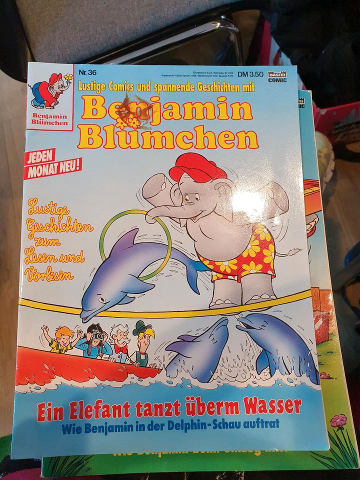 17 Hefte Magazin Zeitschriften Benjamin Blümchen zB für Sammler in Werne